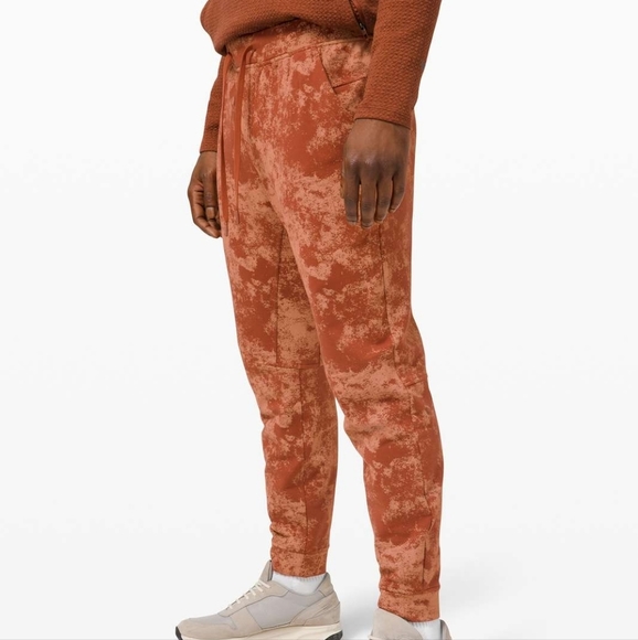 Lululemon City Sweat Jogger 29" *French Terry size L BNWT - Picture 3 of 10